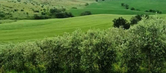 Terreno en Magliano in Toscana, Italy 110000 m² No. 112319 7