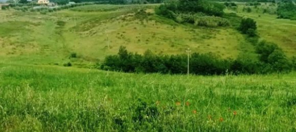 Terreno en Magliano in Toscana, Italy 110000 m² No. 112319 3