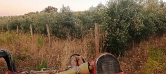 Terreno en Magliano in Toscana, Italy 110000 m² No. 112319 10