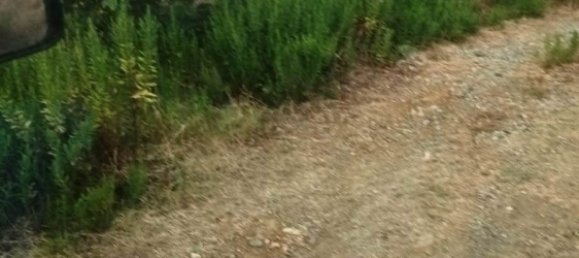 Terreno en Magliano in Toscana, Italy 110000 m² No. 112319 13