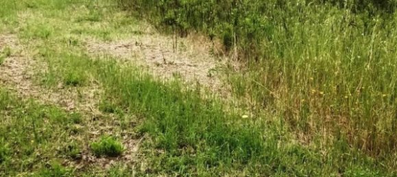 Terreno en Magliano in Toscana, Italy 110000 m² No. 112319 14