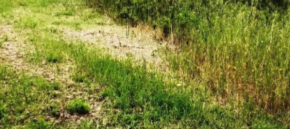 Terreno en Magliano in Toscana, Italy 110000 m² No. 112319 4