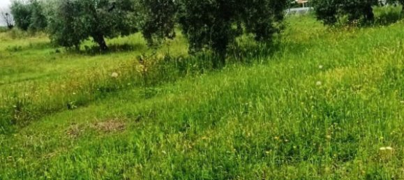 Terreno en Magliano in Toscana, Italy 110000 m² No. 112319 5