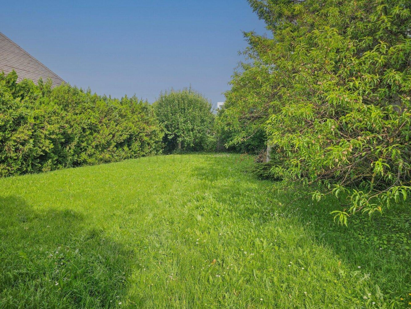 Grundstück in Gänserndorf, Austria 407m², Nr. 259557