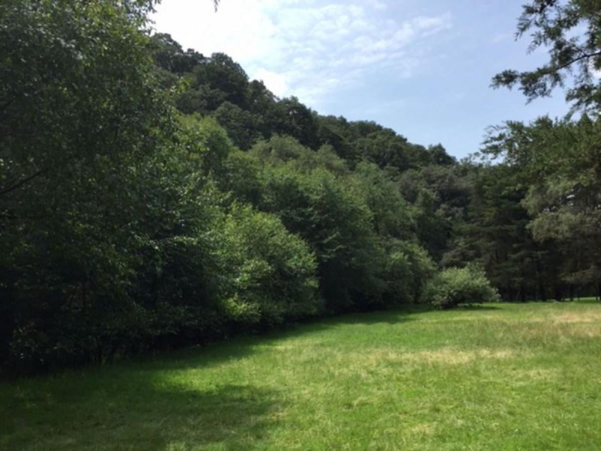 Земельный участок в Вилья дель Карбон, Мексика № 203798