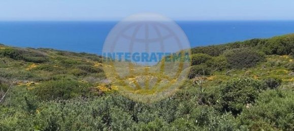 Вилла с 3 спальнями в Алкобаса, Португалия № 146731 6