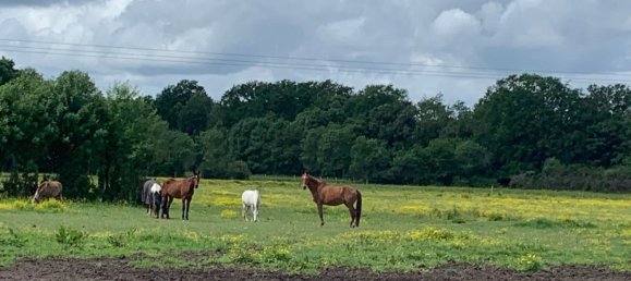 5 Schlafzimmer Haus in Noyers-sur-Cher, France, Nr. 60639 10