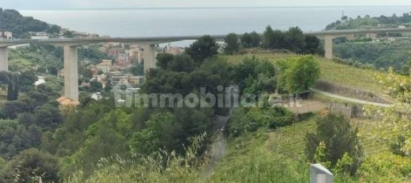 1 bedroom Villa in Cipressa, Italy No. 108744 26