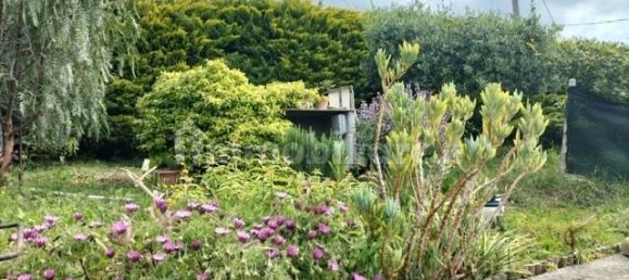 1 bedroom Villa in Cipressa, Italy No. 108744 23