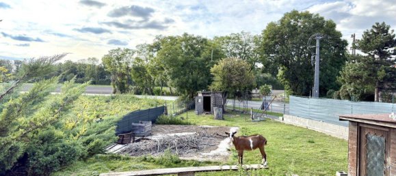 3 rooms House in Himberg, Austria No. 254078 3