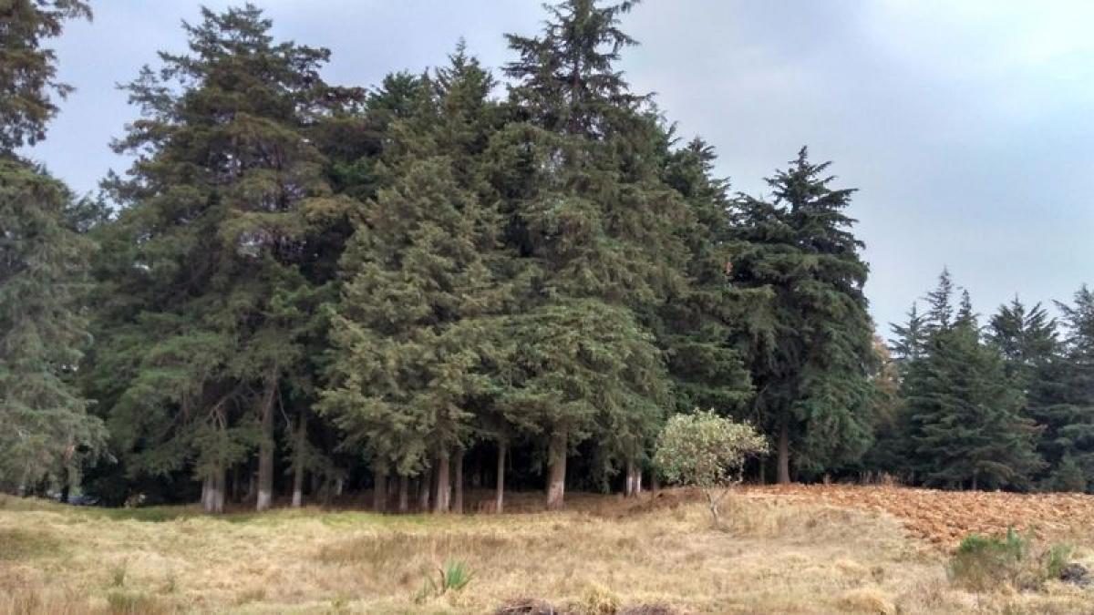 Terrain à Villa del Carbon, Mexico No. 206437