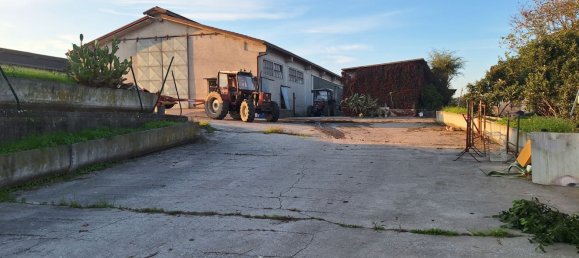 Entrepôt à Cavriana, Italy 3000m² No. 112027 8