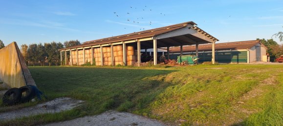 Entrepôt à Cavriana, Italy 3000m² No. 112027 5