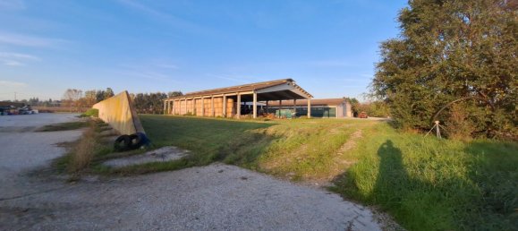 Entrepôt à Cavriana, Italy 3000m² No. 112027 6