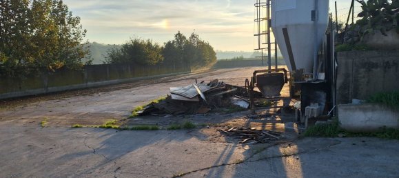 Entrepôt à Cavriana, Italy 3000m² No. 112027 7