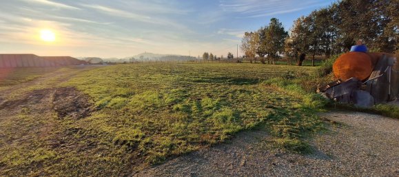 Entrepôt à Cavriana, Italy 3000m² No. 112027 13