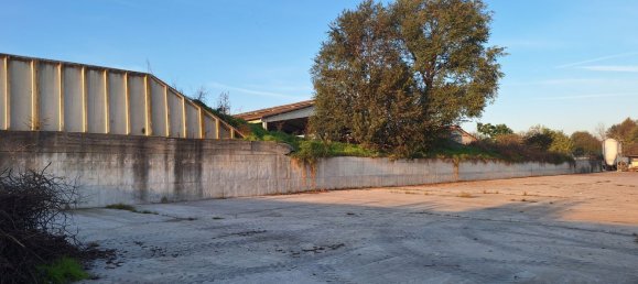 Entrepôt à Cavriana, Italy 3000m² No. 112027 9