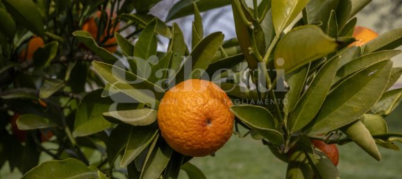 3 bedrooms Villa in Pordenone, Italy No. 56531 33