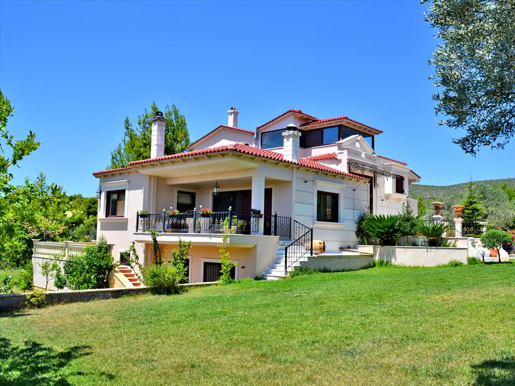 Gewerbliche Immobilien in Euboea, Greece 550m², Nr. 7062