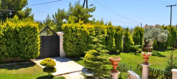 Gewerbliche Immobilien in Euboea, Greece 550m², Nr. 7062 12