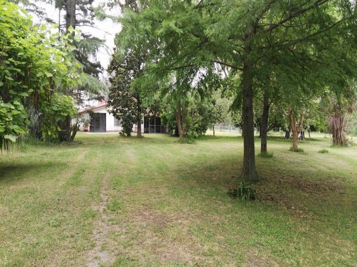 Granja en Moreno, Argentina No. 37010