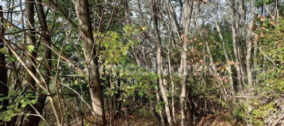 2 غرف نوم منزل في Scagnello, Italy رقم 259446 4