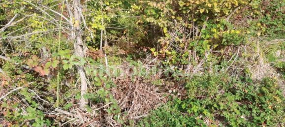 2 غرف نوم منزل في Scagnello, Italy رقم 259446 16