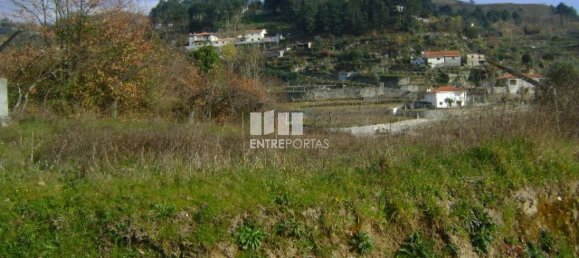 Terreno en Baiao, Portugal 1620 m² No. 56096 7