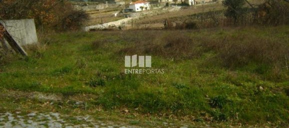 Terreno en Baiao, Portugal 1620 m² No. 56096 5