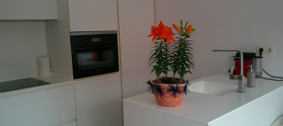 1 Schlafzimmer Doppelhaus in Basque Autonomous Community, Spain, Nr. 160928 3