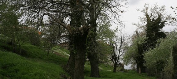 Отель, гостиница 3617м² в Магнисия, Греция № 5025 3