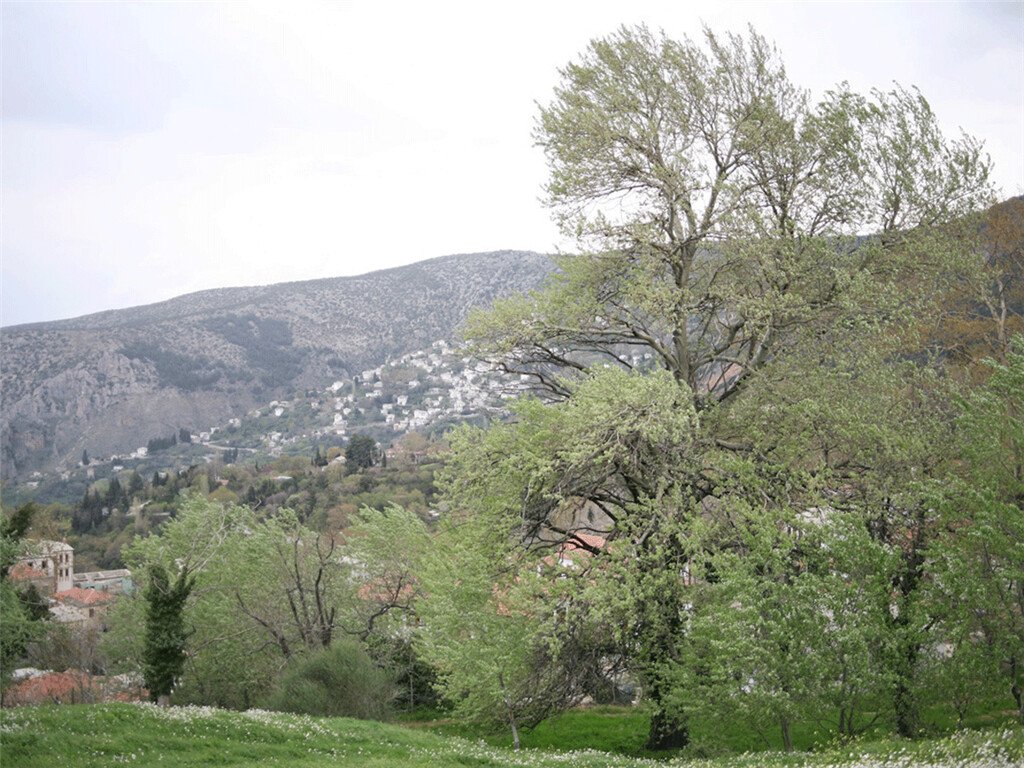 3617 m² hotel en venta en Magnesia, Thessaly, Thessaly and Central Greece, Greece № 5025