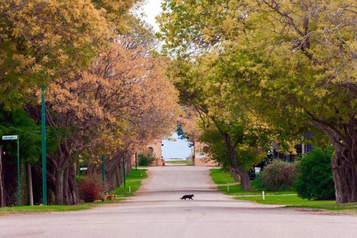 Grundstück in Mar del Plata, Argentina, Nr. 120247