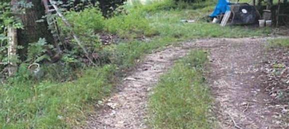 3 bedrooms House in Donato, Italy No. 381120 3