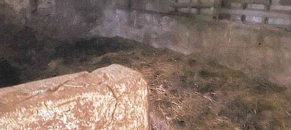 3 bedrooms House in Donato, Italy No. 381120 13