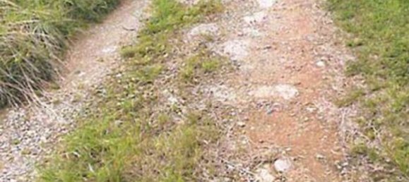 3 bedrooms House in Donato, Italy No. 381120 2