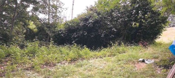 3 bedrooms House in Donato, Italy No. 381120 35