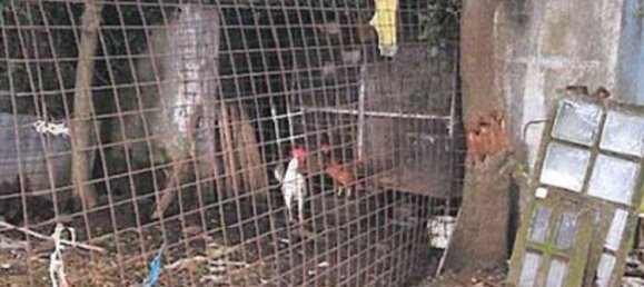 3 bedrooms House in Donato, Italy No. 381120 9