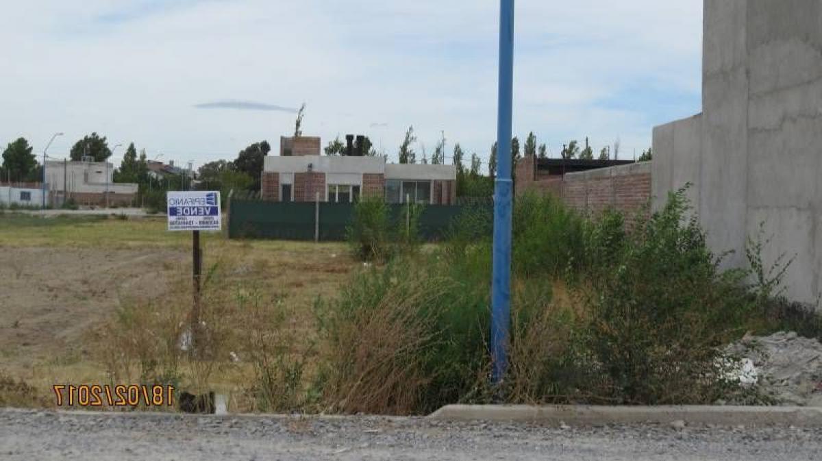  Land in Rio Negro, Argentina No. 40672