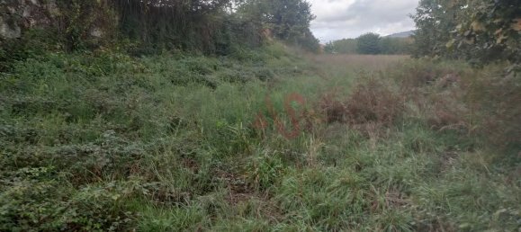 3 bedrooms House in Lousada, Portugal No. 14889 9