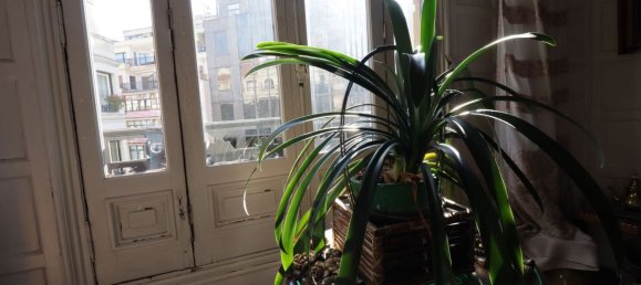 7 chambres Appartement à Basque Autonomous Community, Spain No. 148940 49