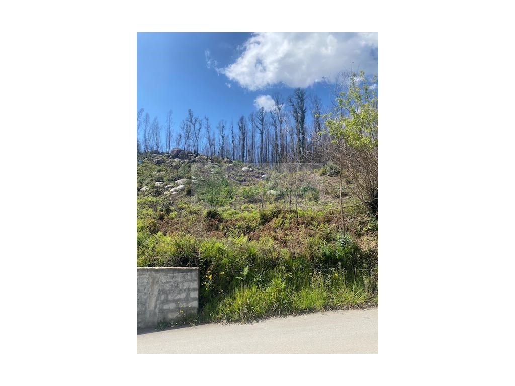 Grundstück in Pessegueiro do Vouga, Portugal 3437m², Nr. 245838