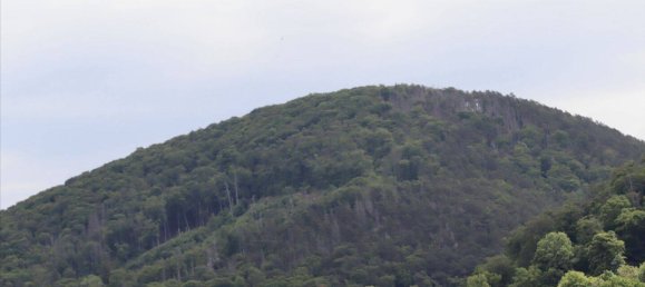 8-Zimmer Villa in Goslar, Germany, Nr. 243532 42