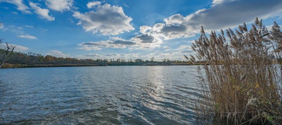 3-Zimmer Wohnung in Favoriten, Austria, Nr. 184184 19