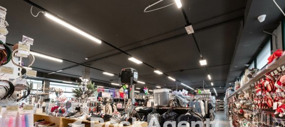 Gewerbliche Immobilie in Campagna Lupia, Italy 1100m², Nr. 221046 13