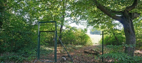  Castillos de 5 habitaciónes en Penzing, Austria No. 57202 6