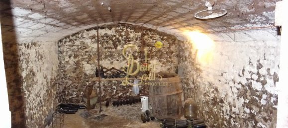 3 chambres Maison à L'Île-Bouchard, France No. 65930 31