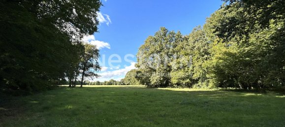 5 bedrooms Castles in Vicq-sur-Nahon, France No. 221401 22