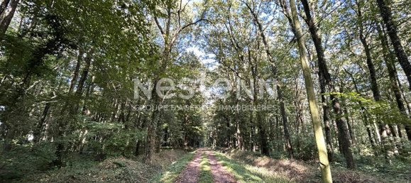 5 bedrooms Castles in Vicq-sur-Nahon, France No. 221401 23