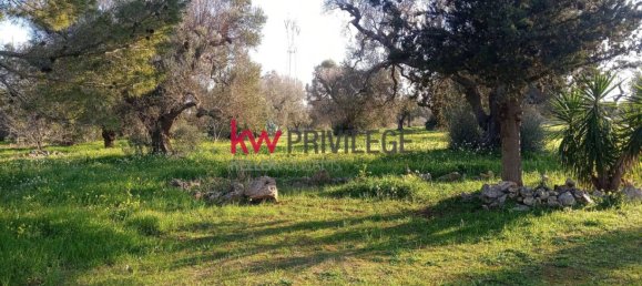 2 غرف نوم منزل في San Michele Salentino, Italy رقم 340546 11